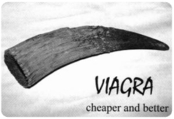 viagra